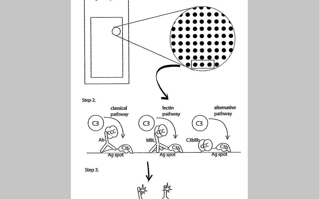 Measurement of complement activation products on antigen arrays